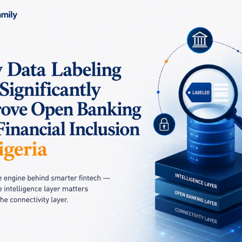 How Data Labeling Can Significantly Improve Open Banking and Financial Inclusion in Nigeria